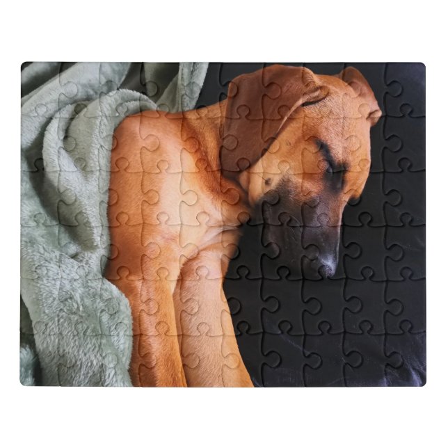 rhodesian-ridgeback-snuggy jigsaw puzzle (Puzzle Horizontal)
