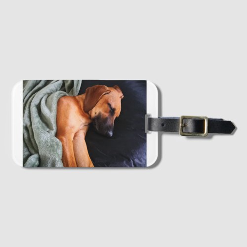 rhodesian_ridgeback_snuggy luggage tag