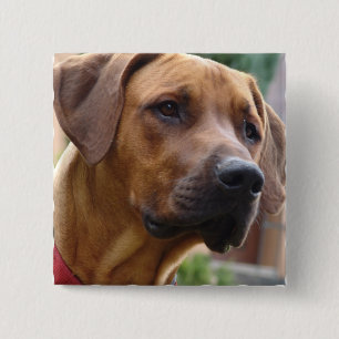 Rhodesian Ridgeback Square Pin
