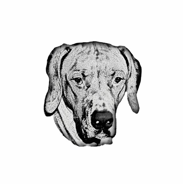 Rhodesian Ridgeback Statuette (Front)