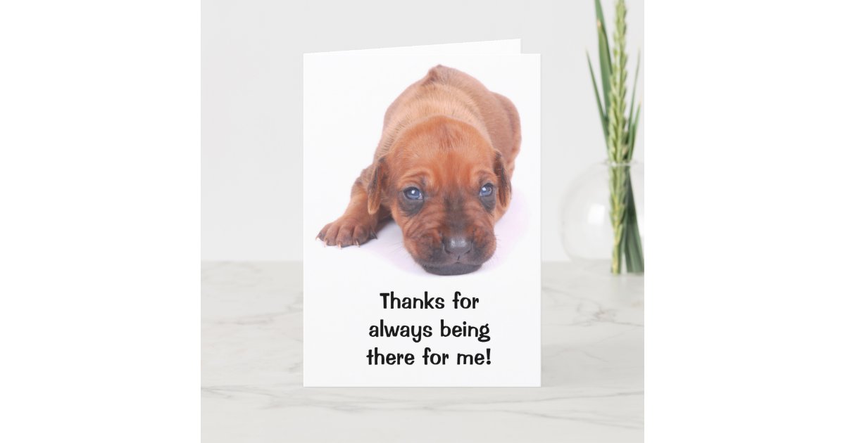 Rhodesian Ridgeback THANK YOU Greeting Card | Zazzle
