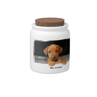 Rhodesian Ridgeback treats jar