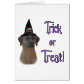 Rhodesian Ridgeback Trick (Front)