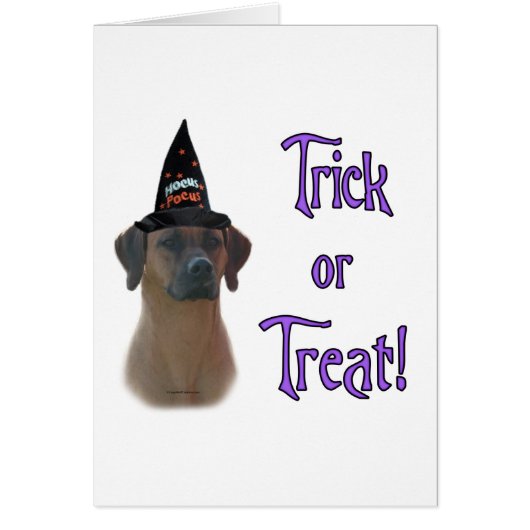 Rhodesian Ridgeback Trick Cards (Front)