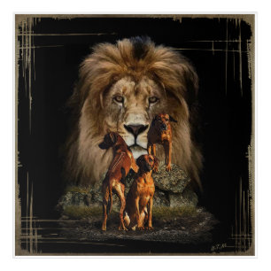 Rhodesian Ridgeback with Lion Acrylic Print
