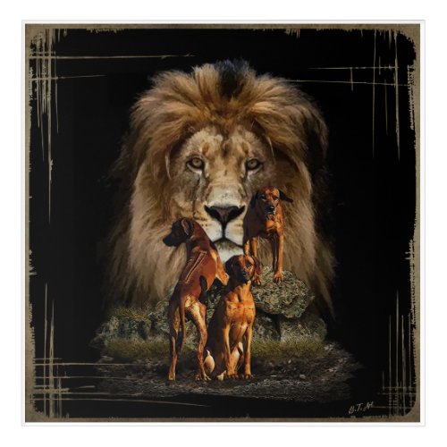 Rhodesian Ridgeback with Lion  Acrylic Print