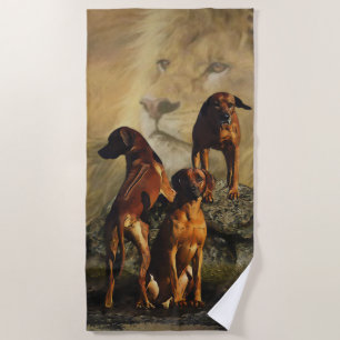 Rhodesian Ridgeback with Lion Beach Towel