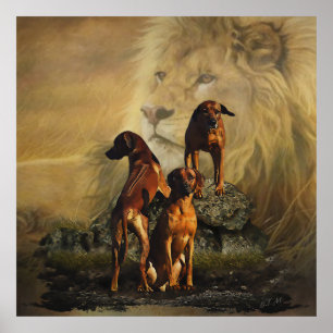 Rhodesian Ridgeback with Lion Poster