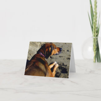Rhodie in oils card