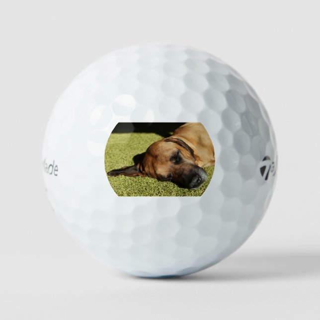 rhodie laying flat golf balls (Front)