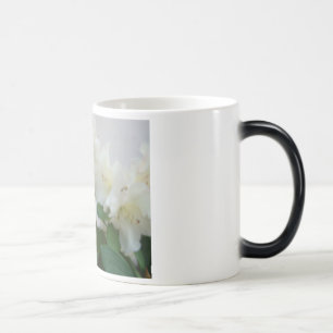 RHODIES AZALEA FLOWERS Azaleas Cards Gifts Mugs