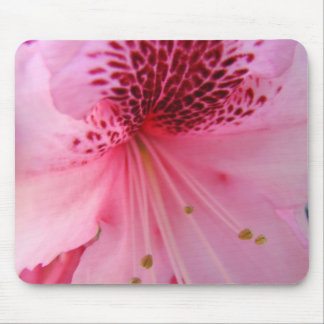RHODIES Azalea Flowers MOUSE PADS MOUSEPAD