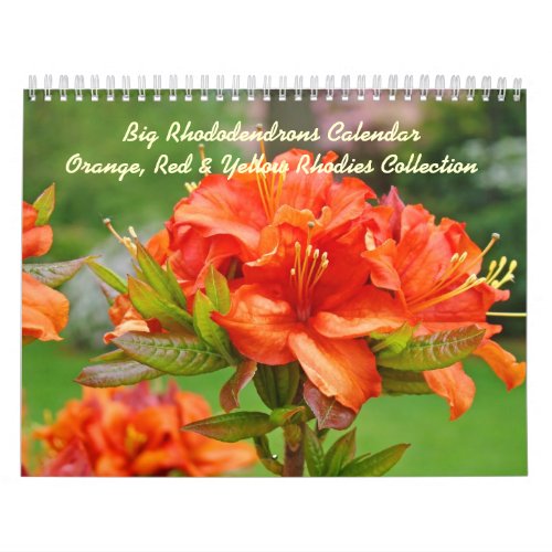 Rhodies Caleandars Rhododendrons Red Orange Yellow Calendar