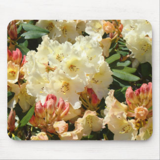 RHODIES Flowers MOUSE PADS MOUSEPAD Floral