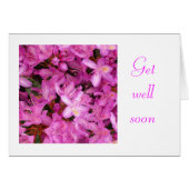 rhododendron (Front Horizontal)