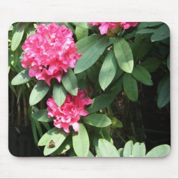Rhododendron 1 Floral Photography Mouse Pad by PBsecretgarden at Zazzle
