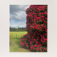 Rhododendron and Scenic View in Scotland Jigsaw Puzzle