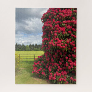 Rhododendron and Scenic View in Scotland Jigsaw Puzzle