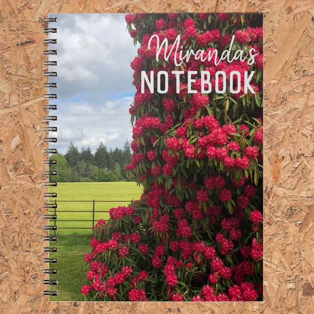 Rhododendron and Scenic View in Scotland Notebook (Creator Uploaded)