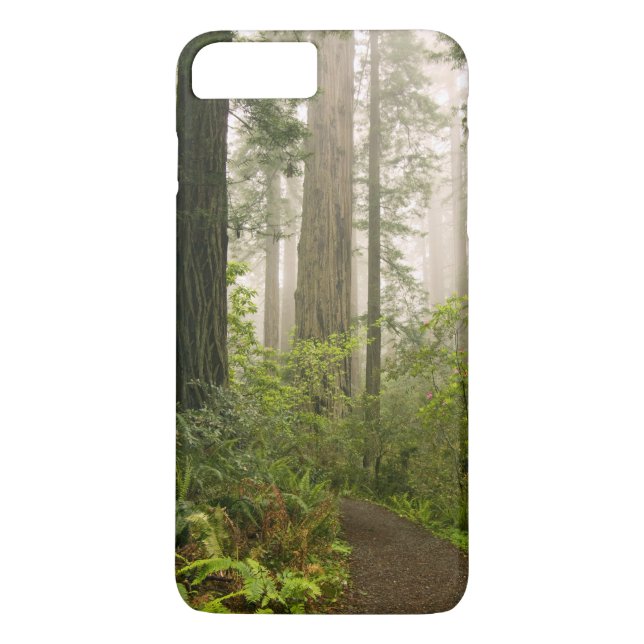 Rhododendron blooming among the Coast Redwoods / Case-Mate iPhone Case (Back)