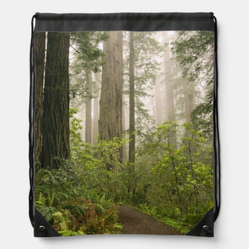 Rhododendron blooming among the Coast Redwoods  Drawstring Bag