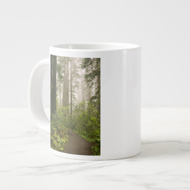 Rhododendron blooming among the Coast Redwoods / Giant Coffee Mug (Front Left)