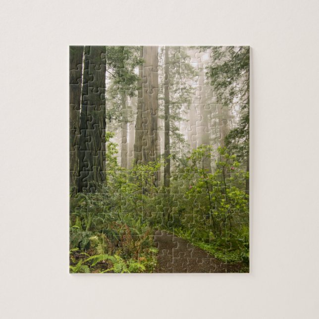 Rhododendron blooming among the Coast Redwoods / Jigsaw Puzzle (Vertical)