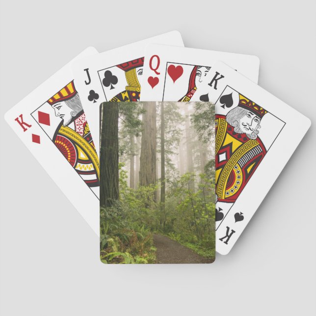 Rhododendron blooming among the Coast Redwoods / Poker Cards (Back)