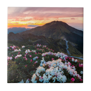 Rhododendron Blooming Taroko National Park Ceramic Tile