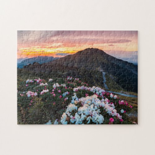 Rhododendron Blooming  Taroko National Park Jigsaw Puzzle