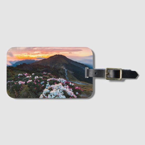 Rhododendron Blooming  Taroko National Park Luggage Tag