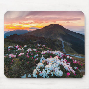 Rhododendron Blooming   Taroko National Park Mouse Pad