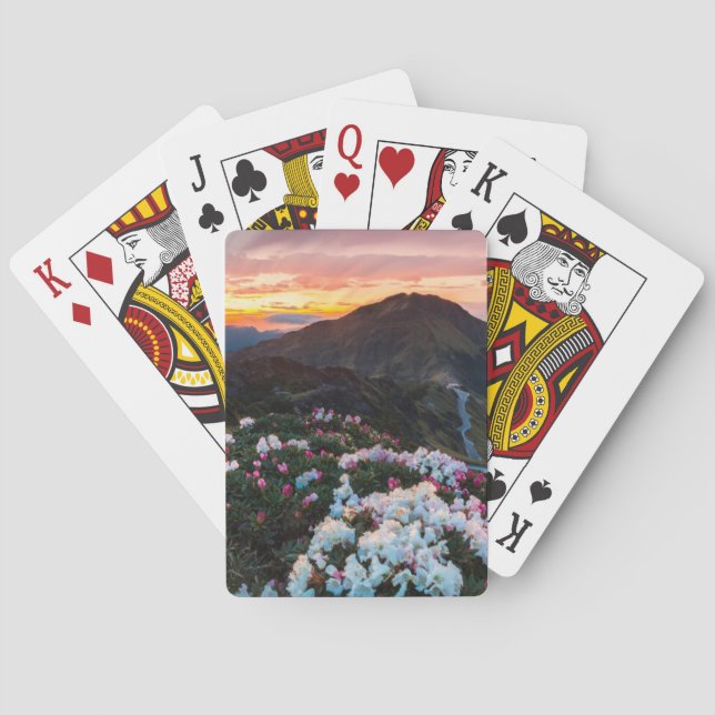 Rhododendron Blooming | Taroko National Park Poker Cards (Back)