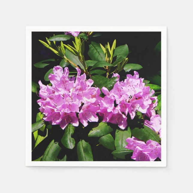 Rhododendron Closeup Paper Napkins (Front)