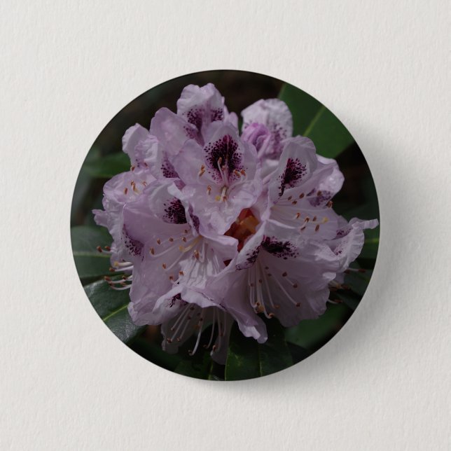 Rhododendron Flower Badge Button (Front)