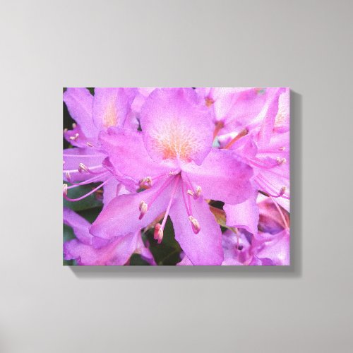 Rhododendron Flower Wrapped Canvas
