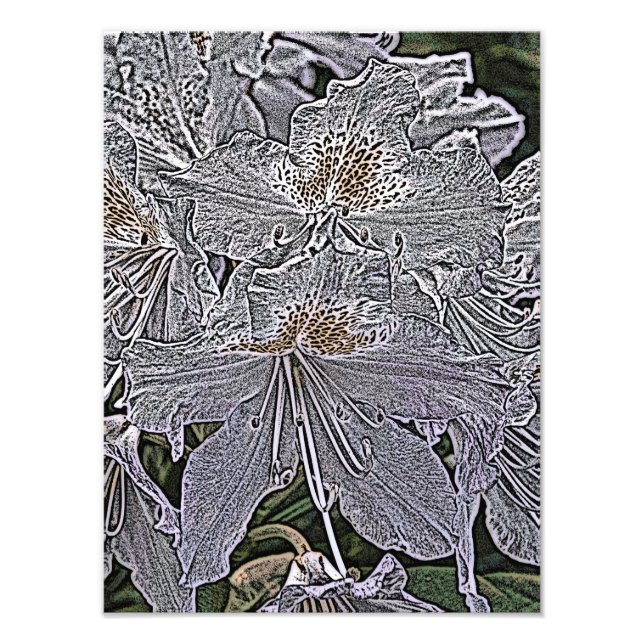 RHODODENDRON FLOWERS PHOTO PRINT (Front)