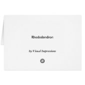 Rhododendron, fuscia cards (Back Horizontal)