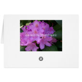 Rhododendron Garden Cards (Back Horizontal)