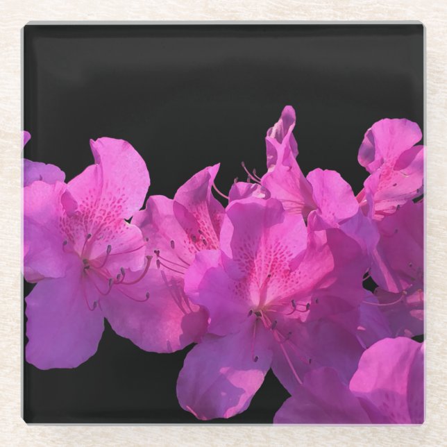 Rhododendron Glass Coaster (Front)