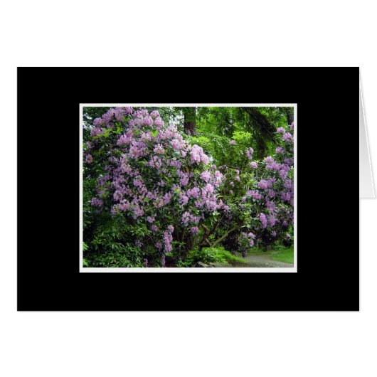 Rhododendron Grove Cards (Front Horizontal)