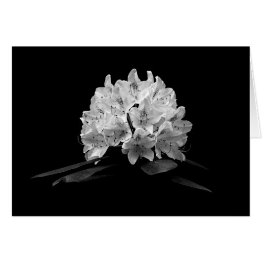 Rhododendron In Black And White Custom Blank (Front Horizontal)