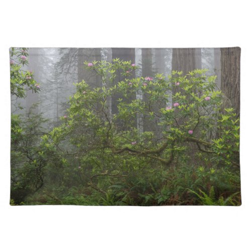 Rhododendron in Redwood National Park California Cloth Placemat
