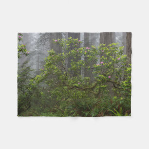 Rhododendron in Redwood National Park California Fleece Blanket
