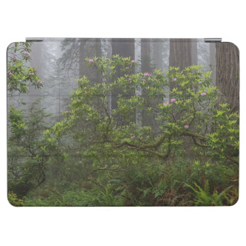 Rhododendron in Redwood National Park California iPad Air Cover