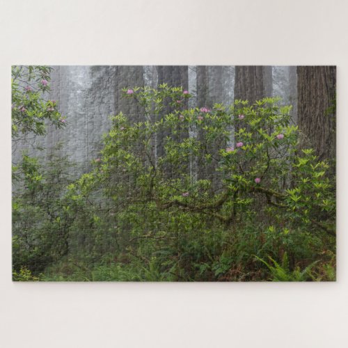 Rhododendron in Redwood National Park California Jigsaw Puzzle