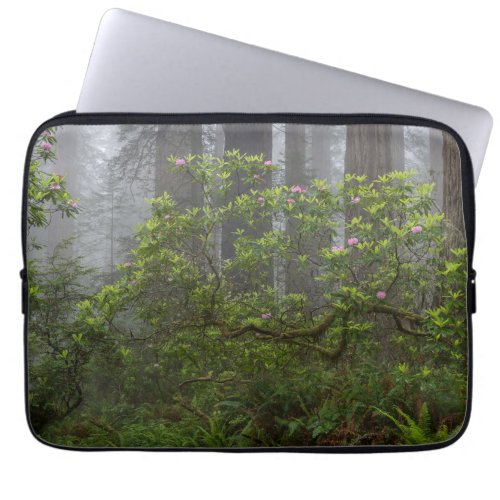 Rhododendron in Redwood National Park California Laptop Sleeve