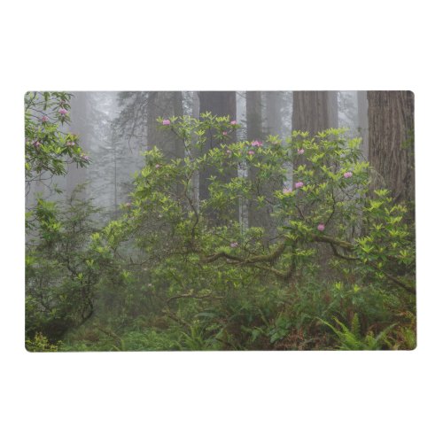 Rhododendron in Redwood National Park California Placemat
