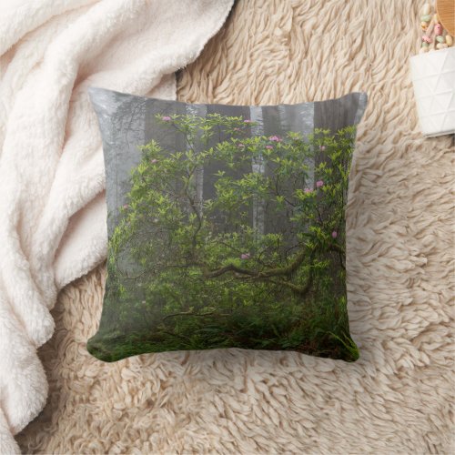 Rhododendron in Redwood National Park California Throw Pillow