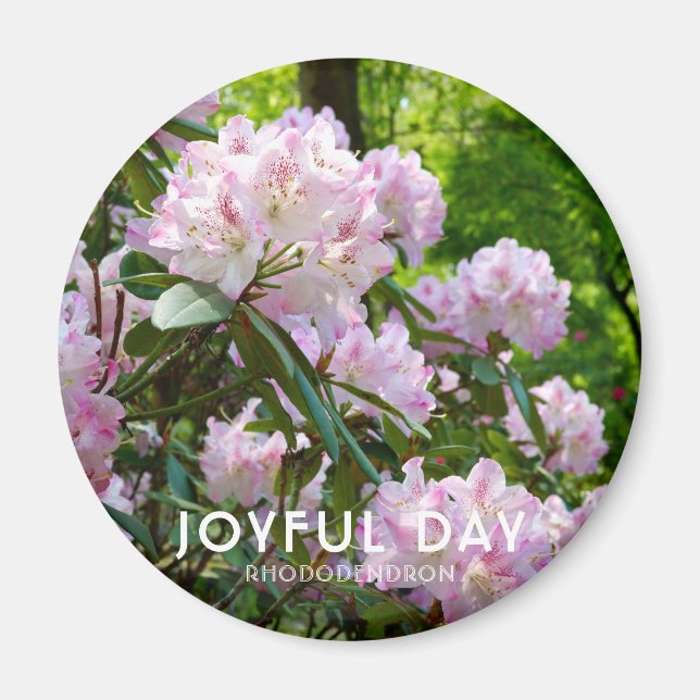 Rhododendron "Joyful Day" Magnet (Front)